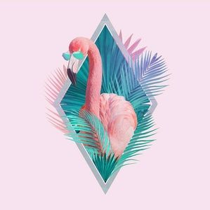 Meet your Posher, Mani